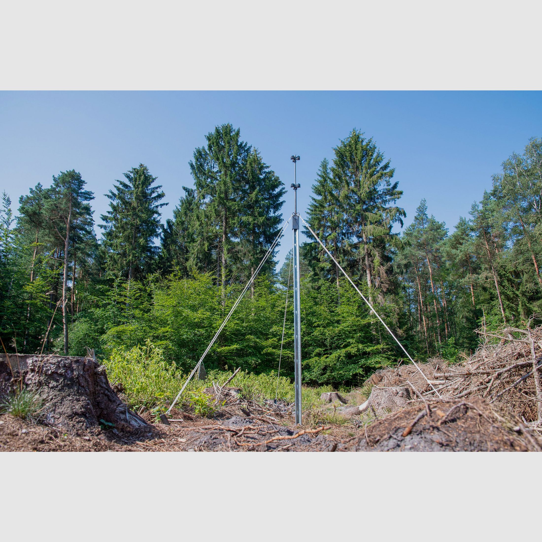 Slot trap stand, star-shaped