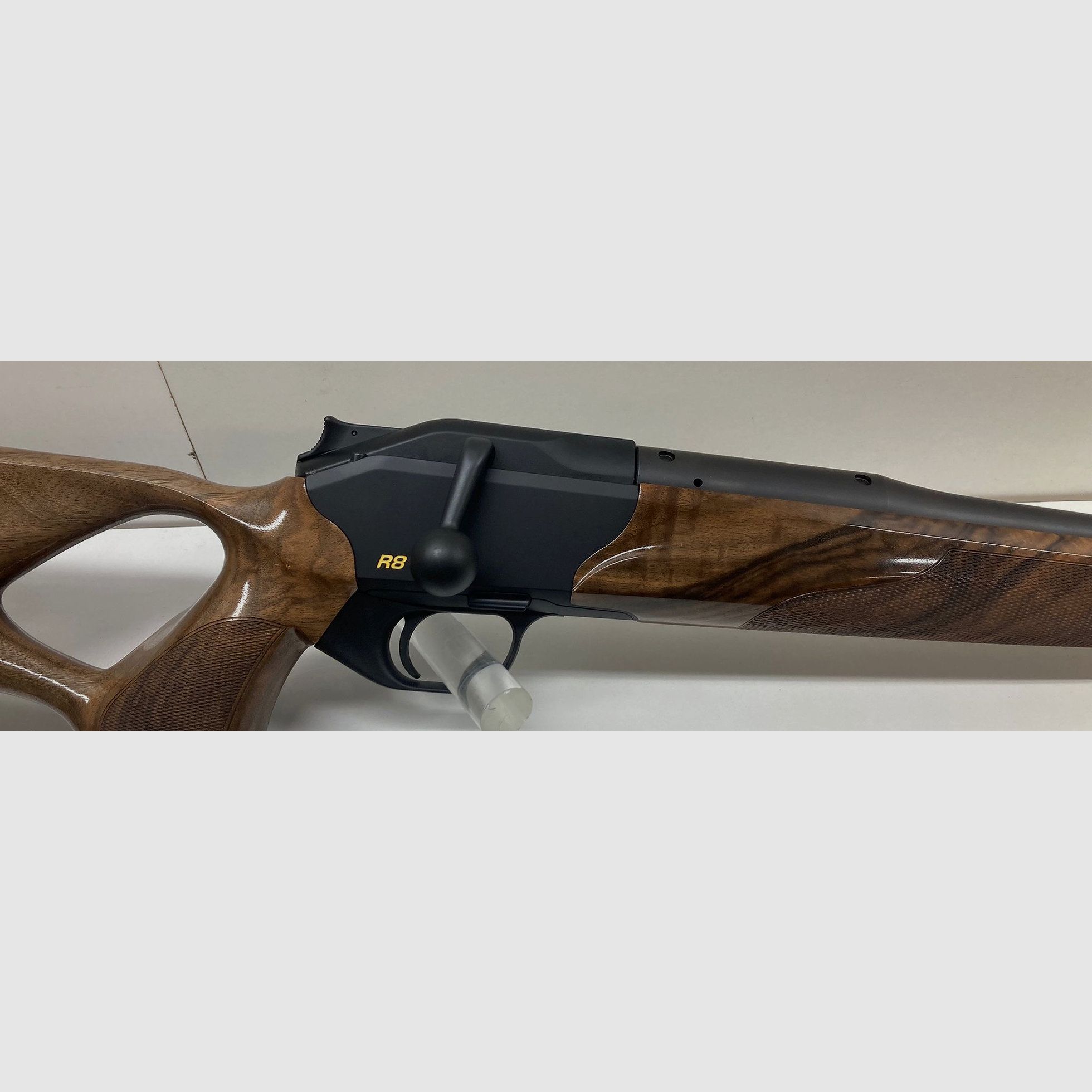 Blaser R8 Success