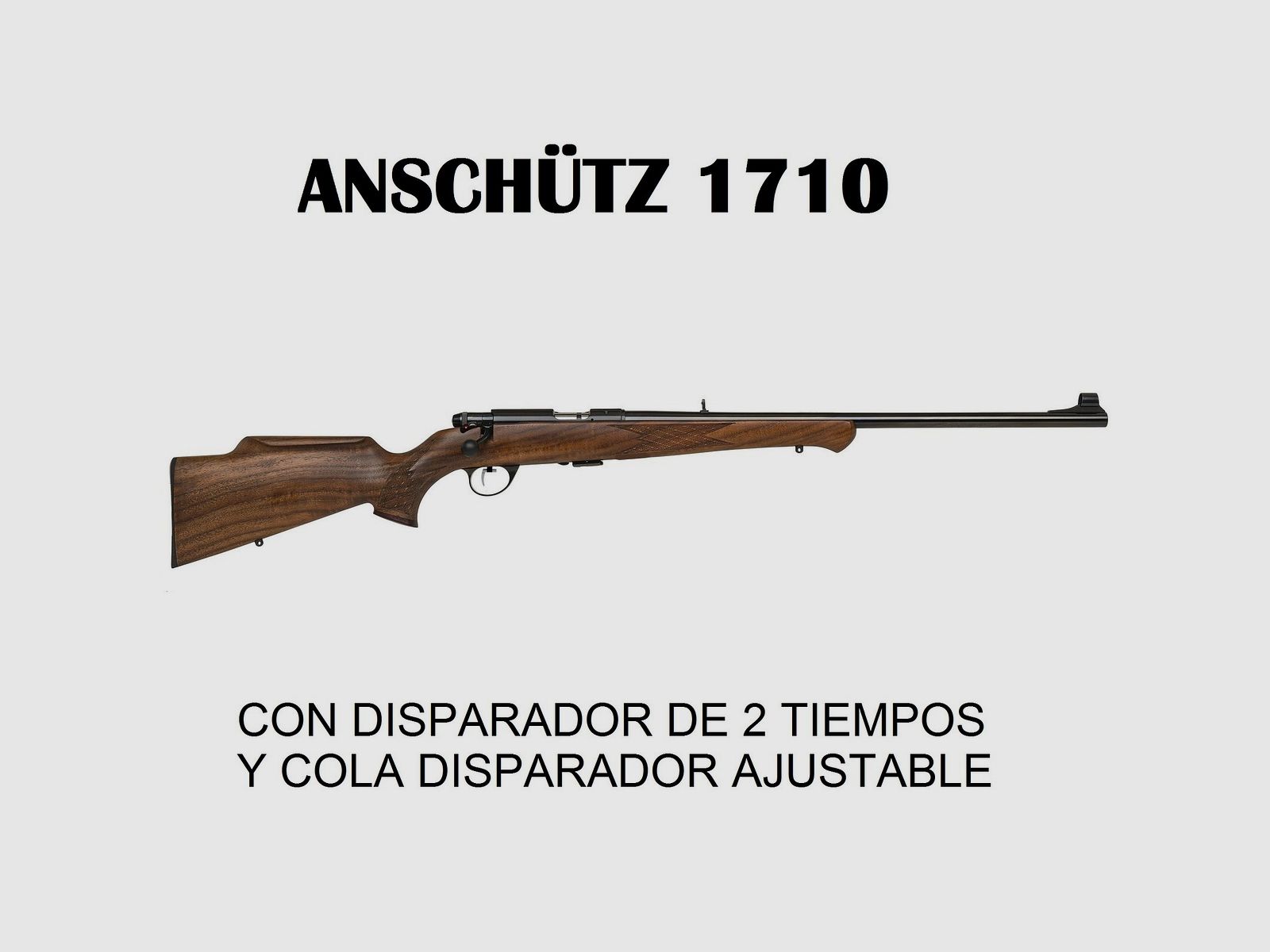ANSCHÜTZ Carabine 1710 KL en crosse en noyer Monte Carlo