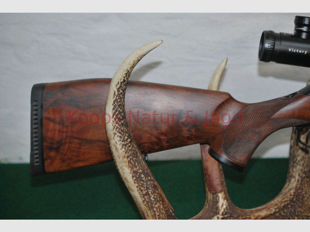 Sauer 202 Forest