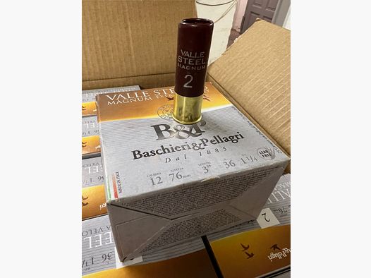 Baschieri & Pellagri Valle Magnum Steel *Loodvrij* HV 12/76 36 g, 3,5 mm