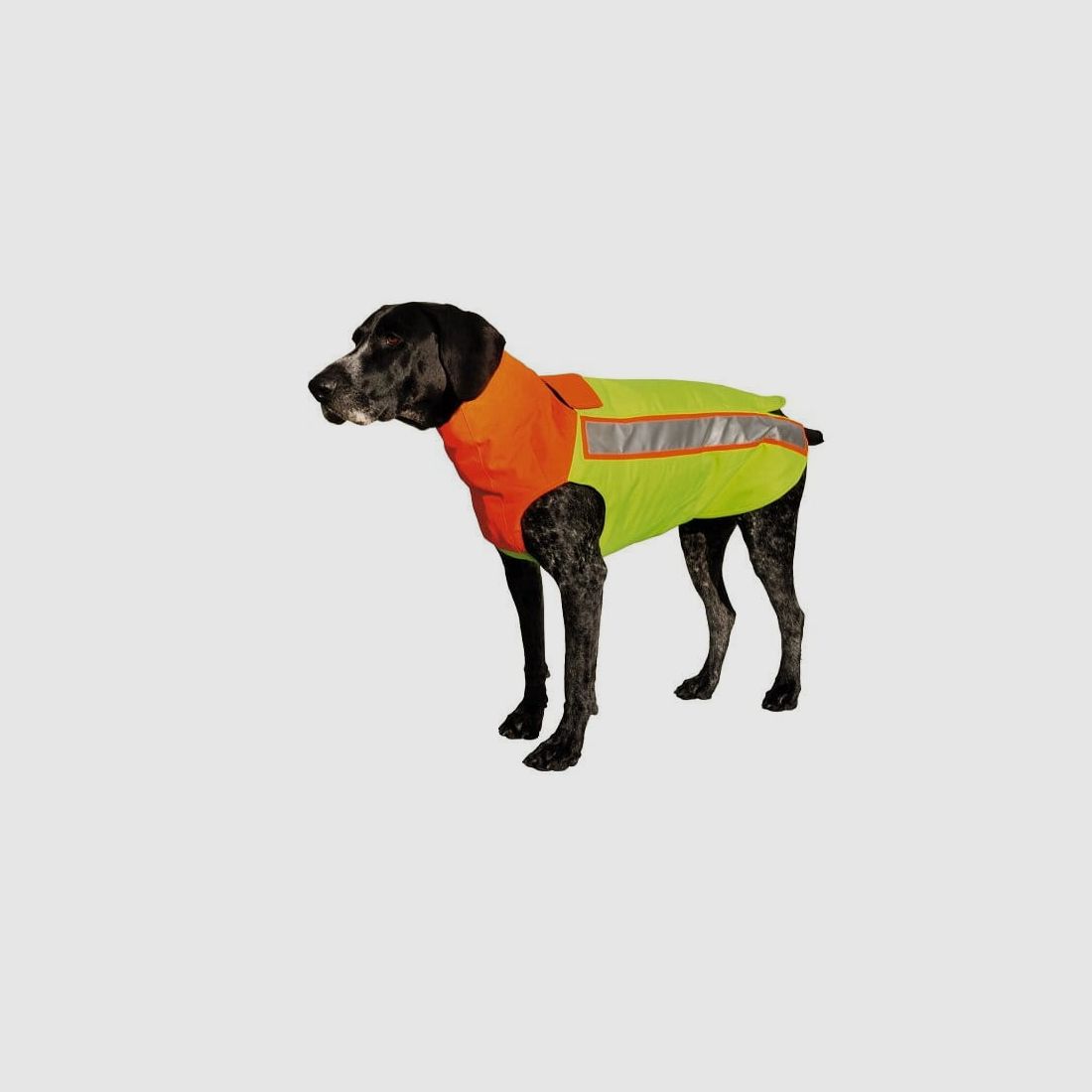 Hubertus dog protection vest with Kevlar insert