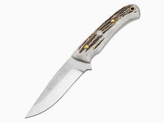 PUMA IP catamount, stag