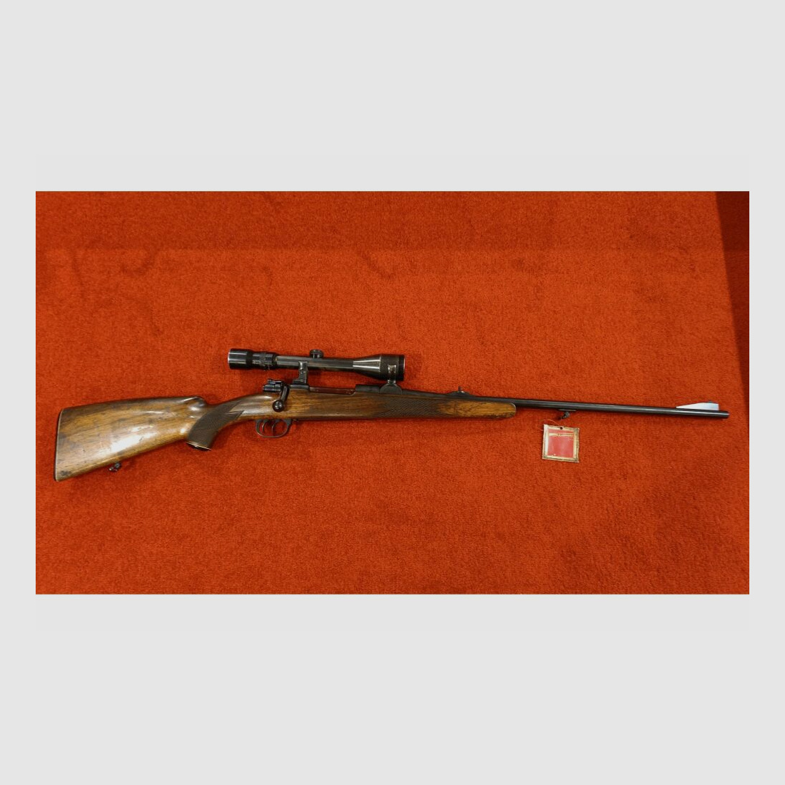 Forest Favorit ohne 7x64