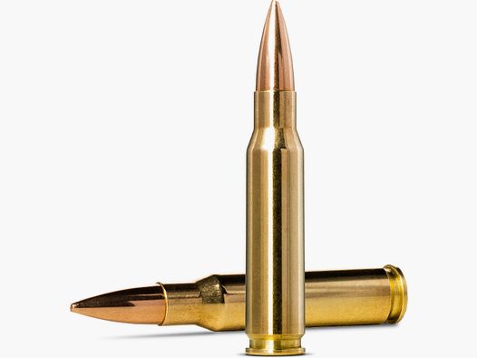 NORMA .308 WIN GOLD TAR 11,3G 175GR 20ER