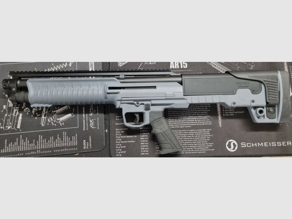 Hatsan Escort - Bull Tc PX Grey 12/76 - 18" 6 Schuss