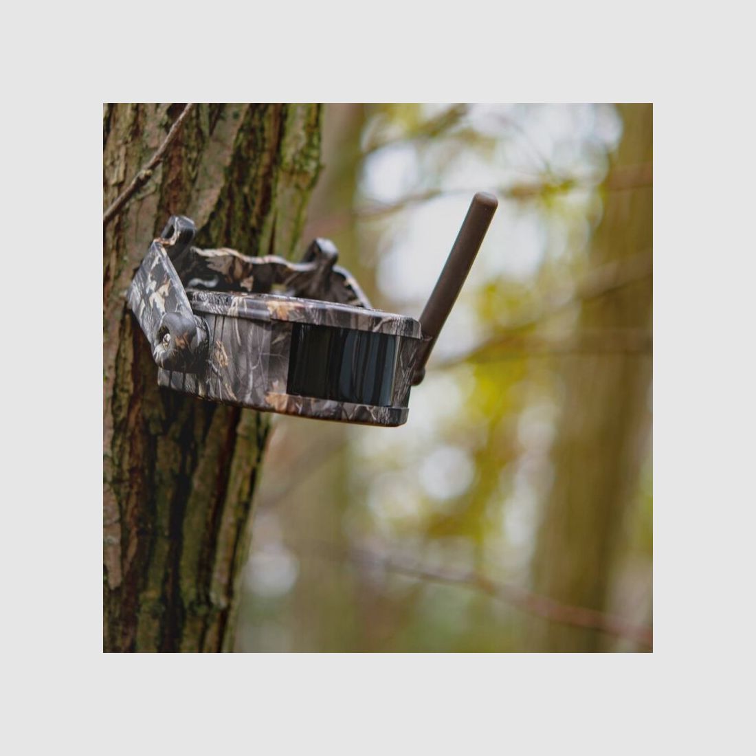 Dörr Funk-Wildbewegungsmelder Set HA-300 camouflage