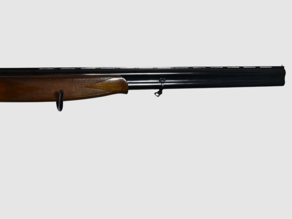Condor Ibargun