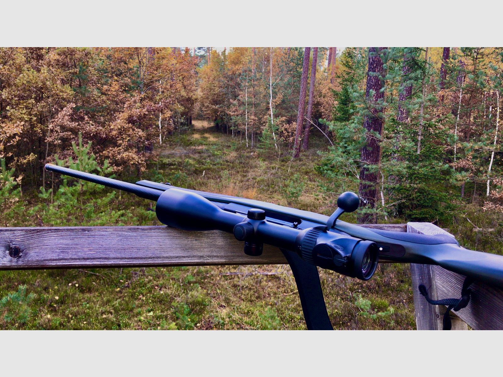 Steyr Cl2 SX .300 Win. Mag.