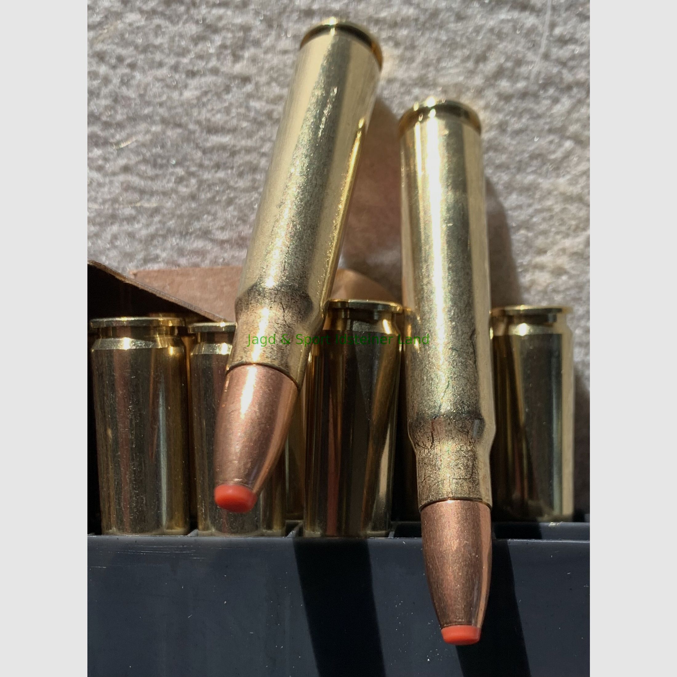Hornady ECX -bleifrei- 180grs