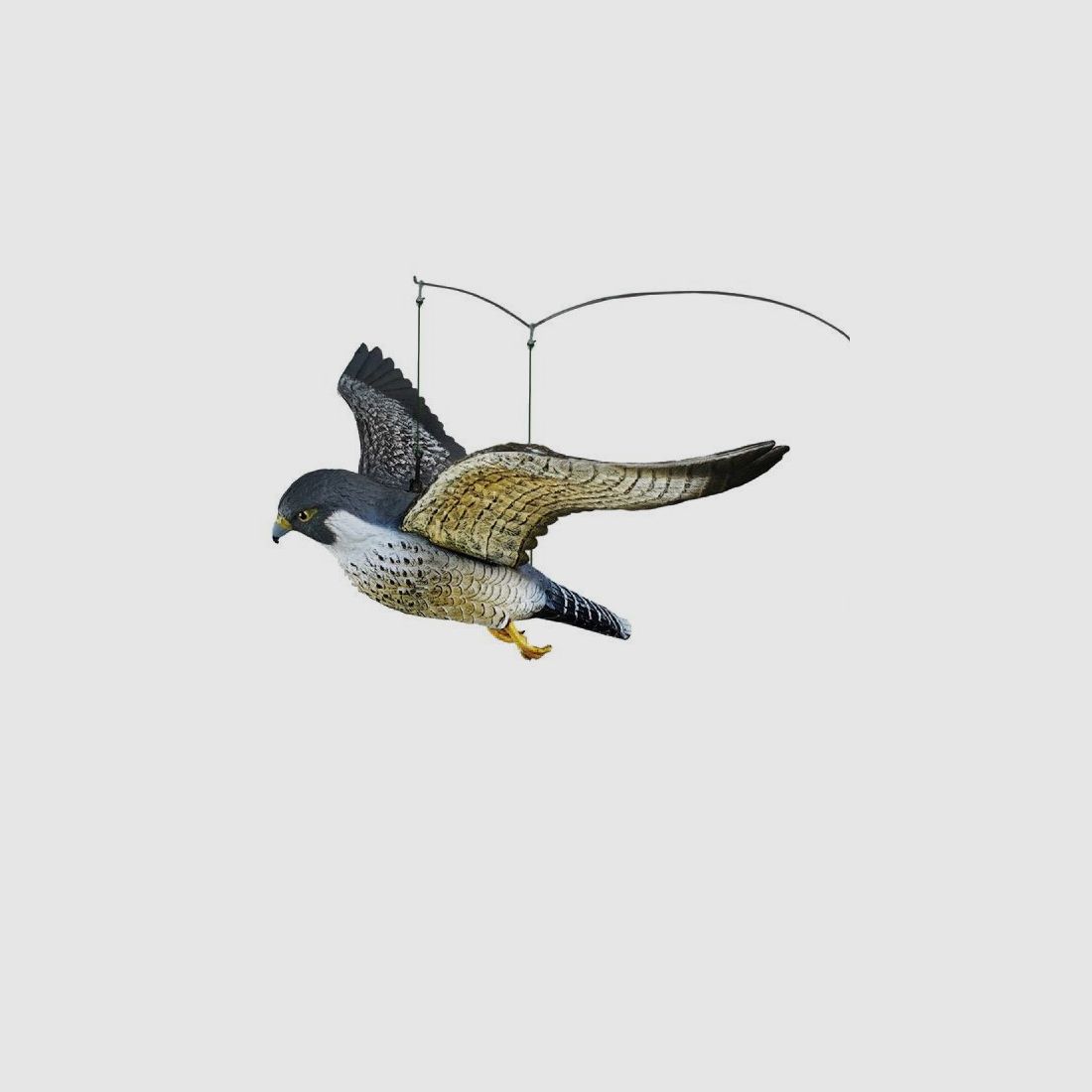 Fliegender Wanderfalke