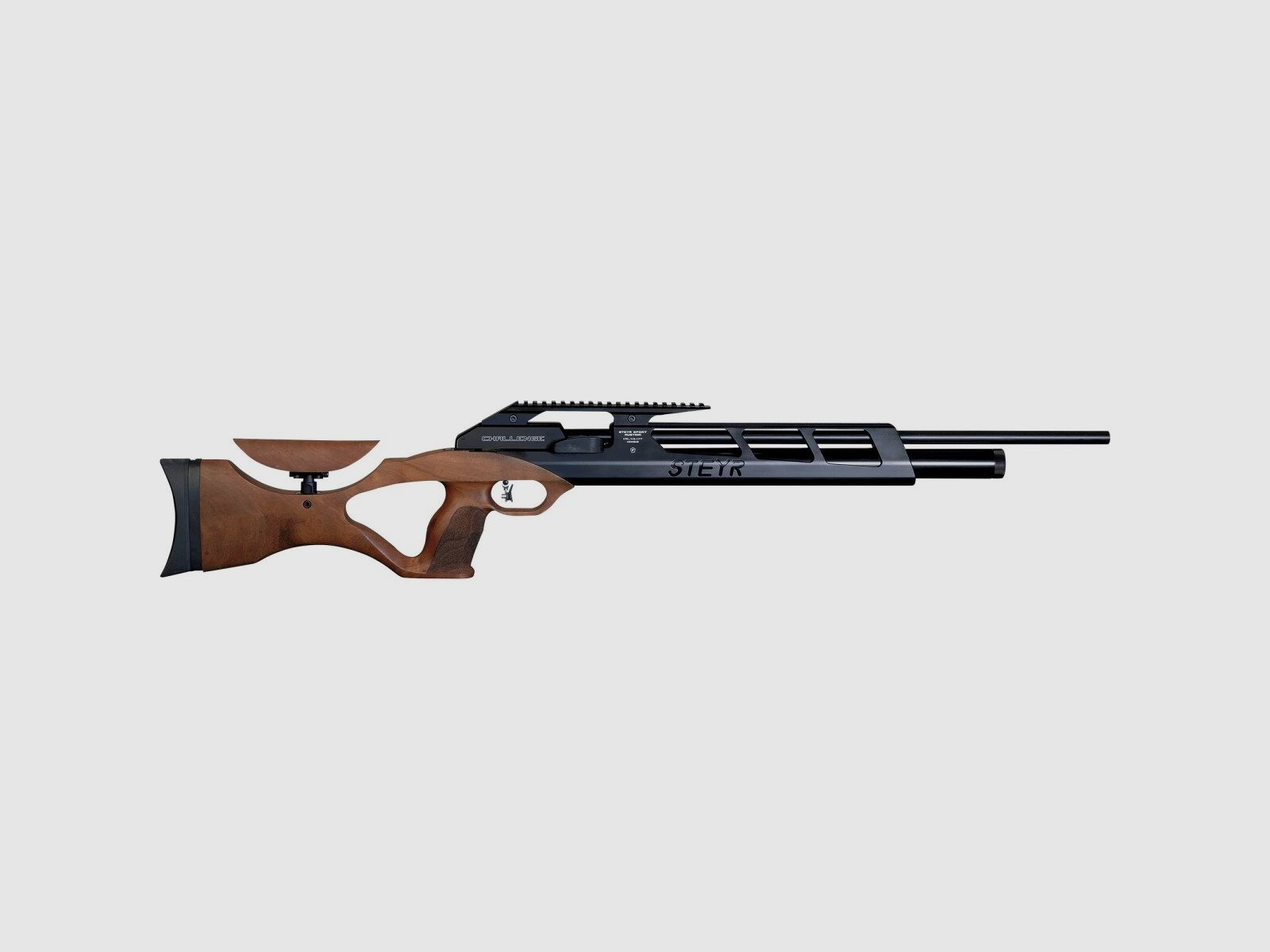Steyr Match Luftgewehr Challenge Hunting