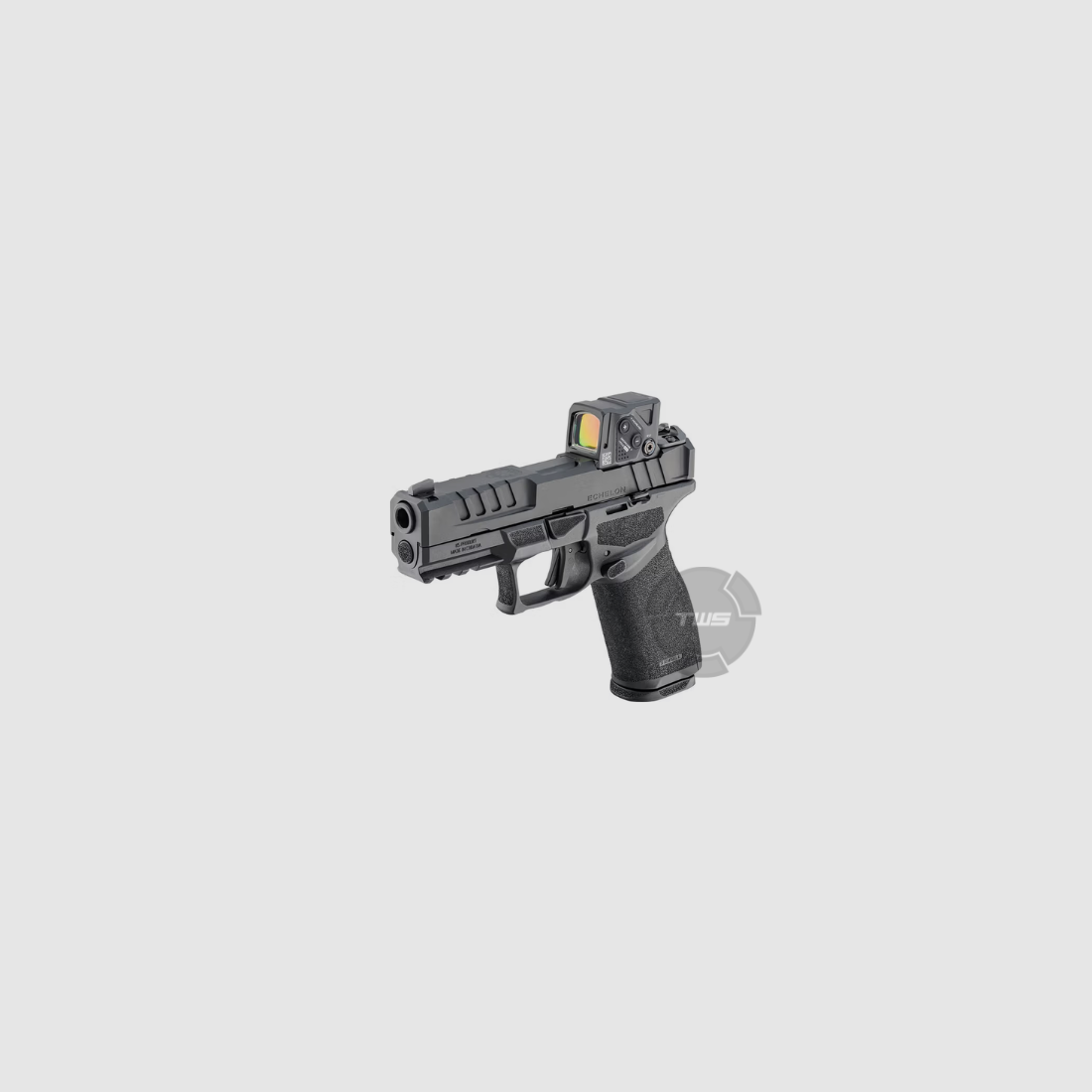 Springfield Echelon 4.0FC COA BLK 9×19, image 3 sur 3