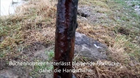 Jagd Tips und Tricks für die Kirrung