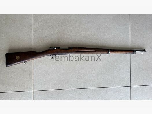 Carl Gustafs M96 6,5x55SE