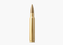 Cartucce Sellier & Bellot 30-06 Spring. FMJ Competition 11,7g. 180gr. !!!