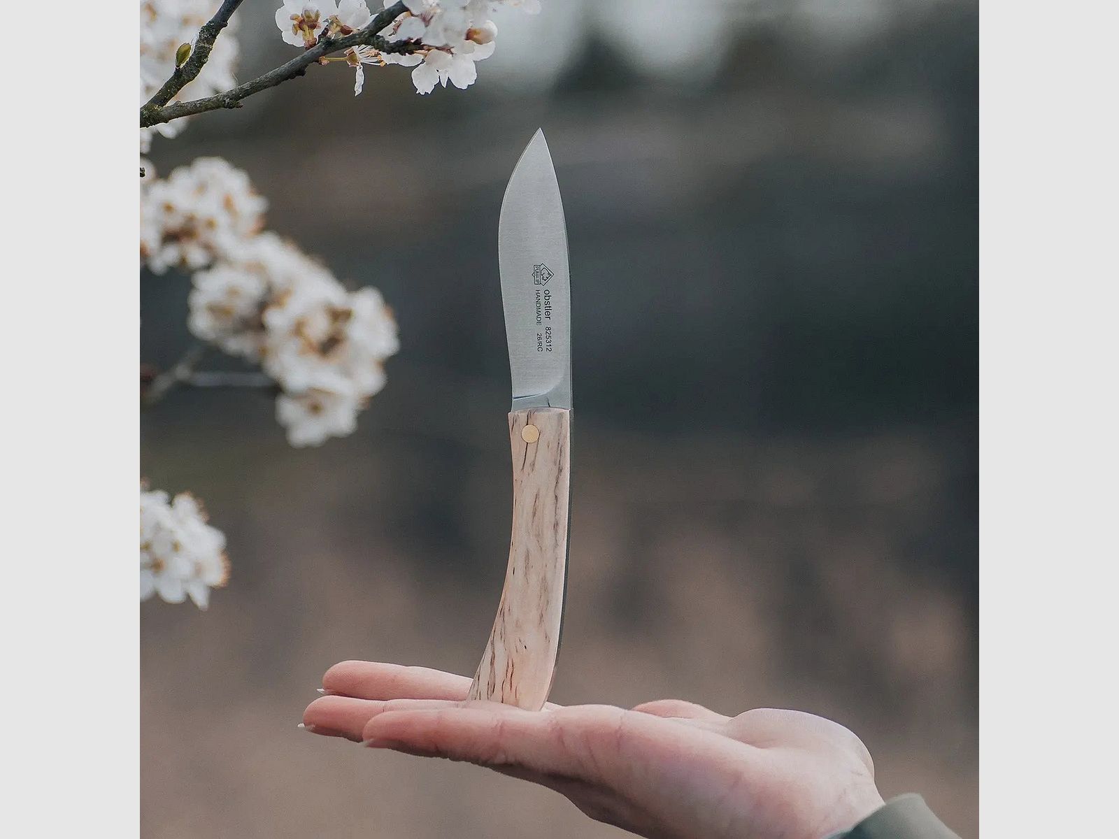 PUMA IP obstler birch wood