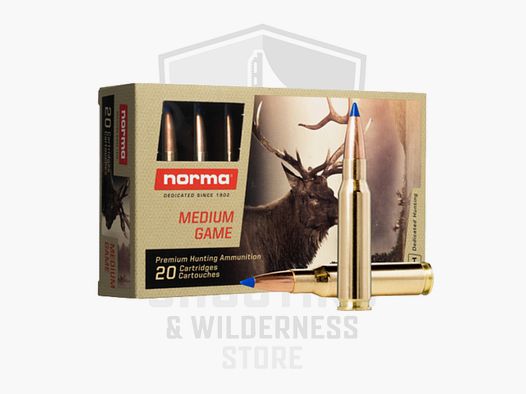 Norma Bondstrike .30-06 10.7g/165grs