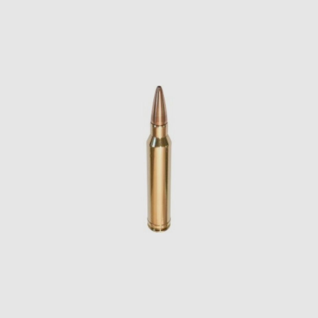 Sauvestre FIP Battue 300 Weatherby Mag 10,6 g / 164 gr - Box mit 20 Stk., Bild 2 von 2