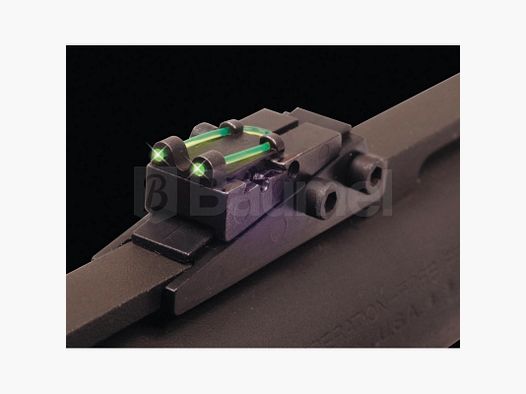 Verstellbare Visierung und Schraubkorn - Truglo - 8mm Schiene