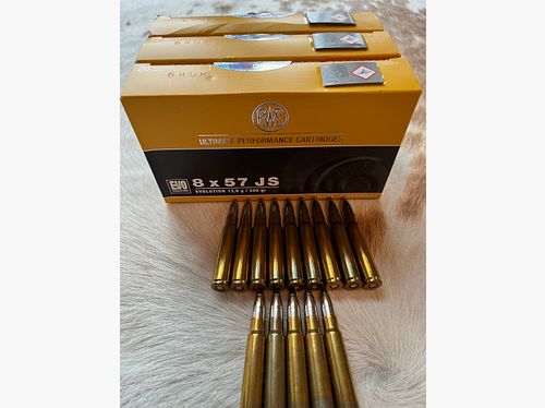 RWS 8x57 JS Evolution 13g / 200gr 75 shots