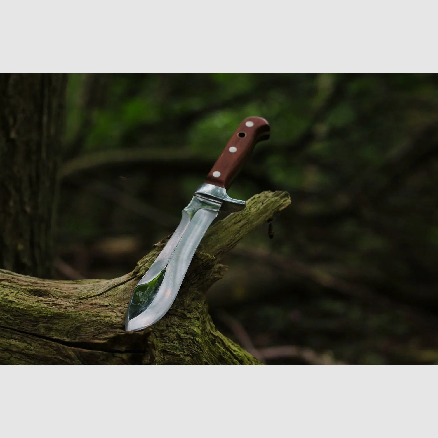 PUMA automesser, ohne Sägezahnung