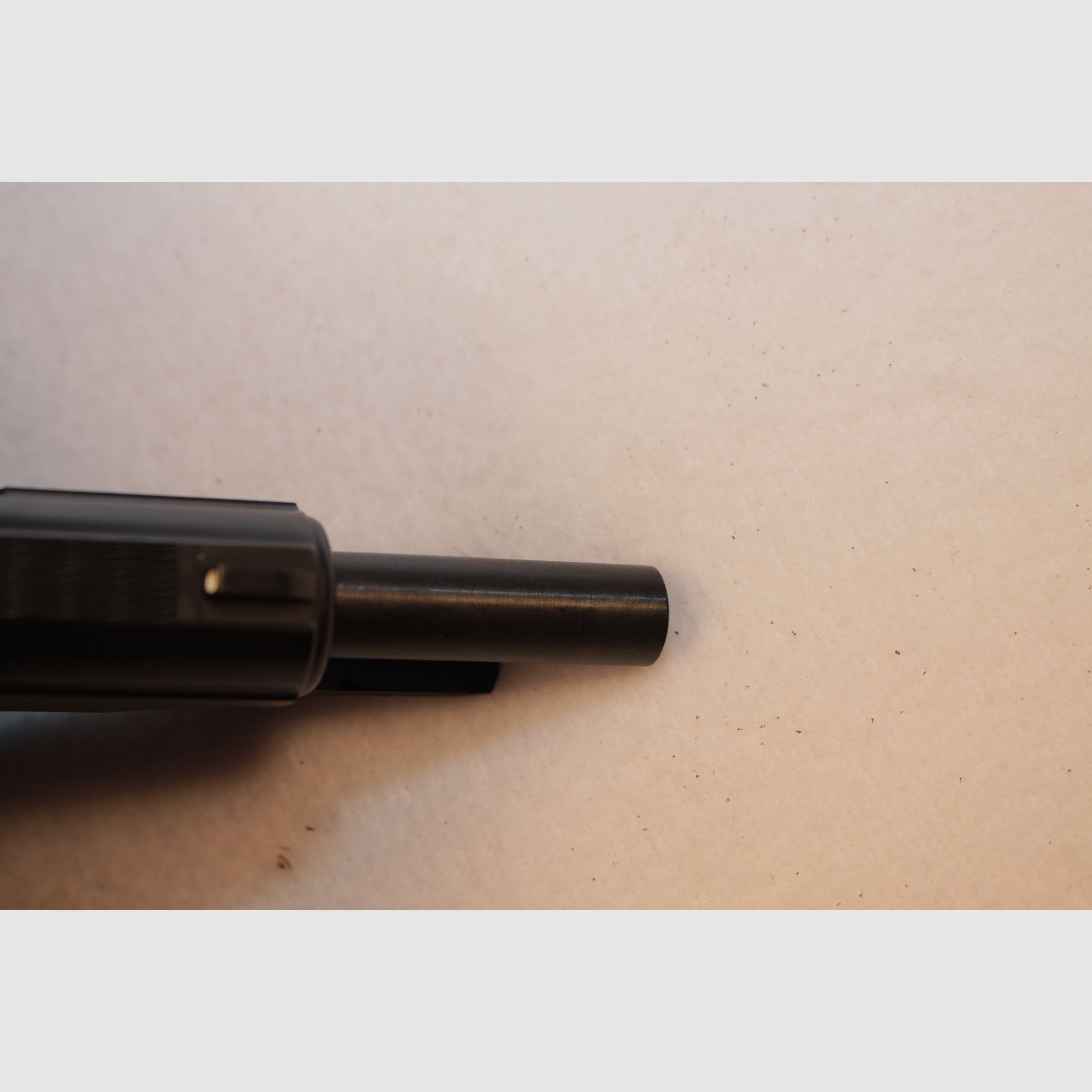 Walther Model TPH in caliber .22 lr.