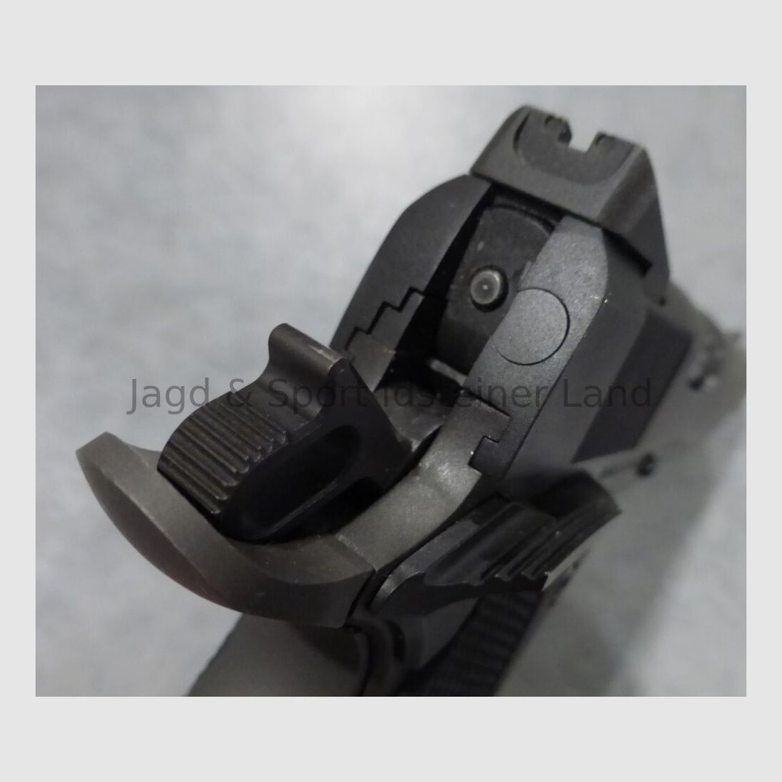 Rock Island Armory 1911