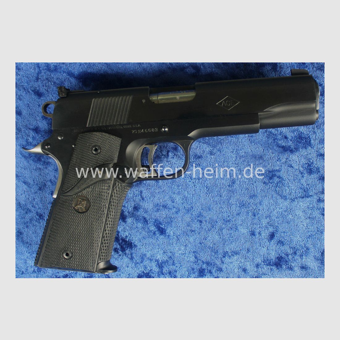 Colt ACE