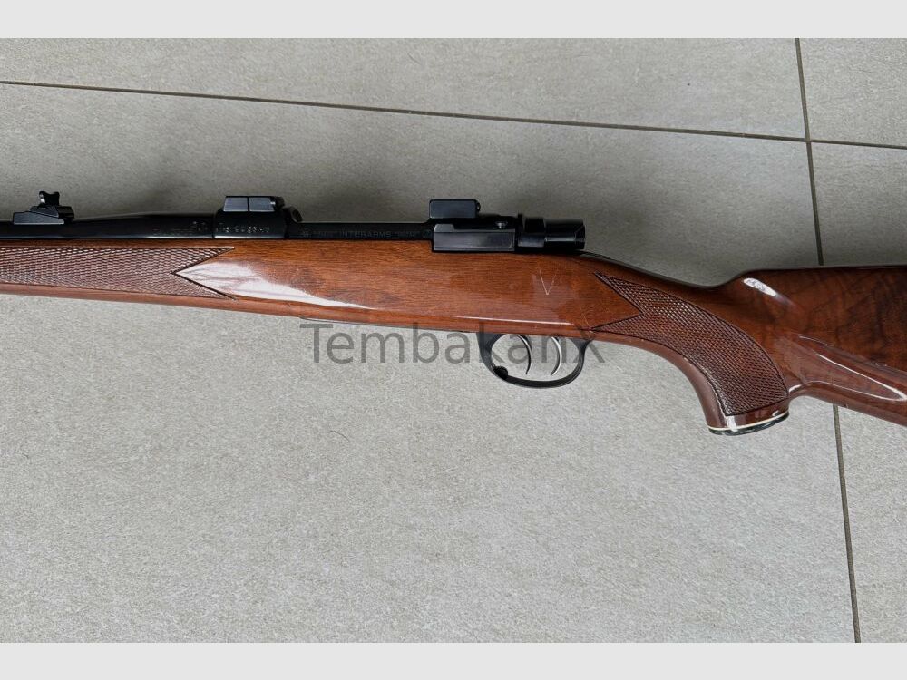 Interarms Marx X .30-06Spring