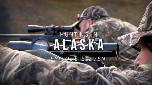 Hunting Grizzly Bear and Barren Ground Caribou in Alaska