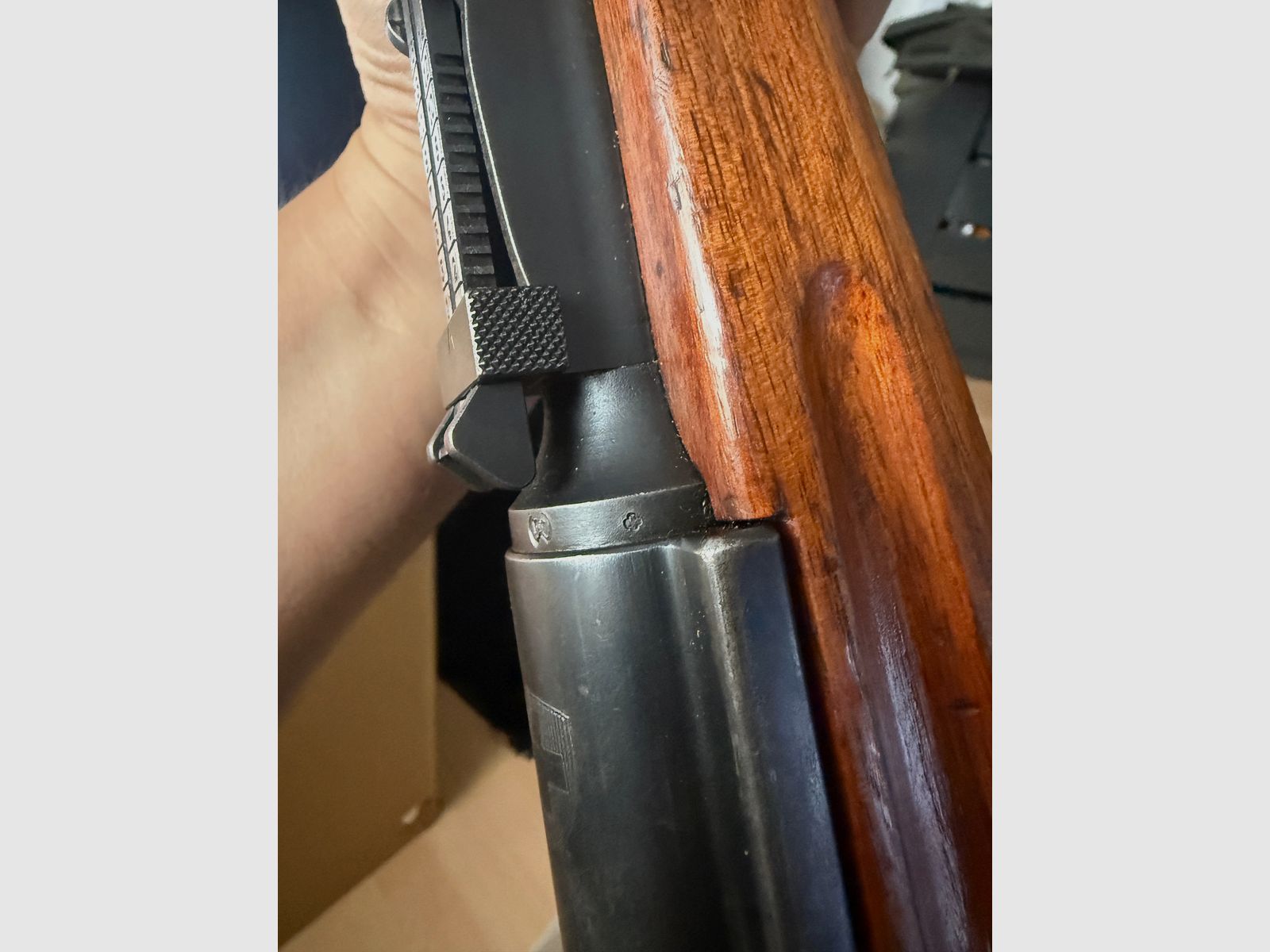 SIG K31 numero uguale