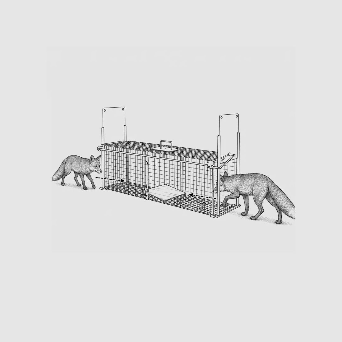 Cage piège acier galvanisé thermolaqué 150x50x60cm, image 4 sur 5