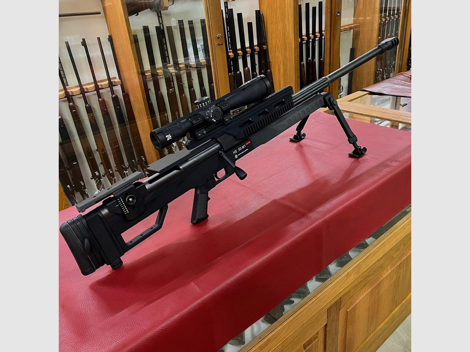 Steyr HS .50 M1, immagine 1 di 14