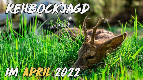 Geartester - Rehbockjagd im April 2022