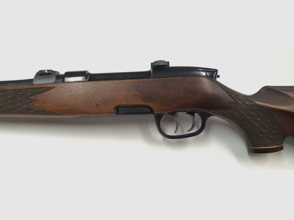 Steyr-Mannlicher Mod. M