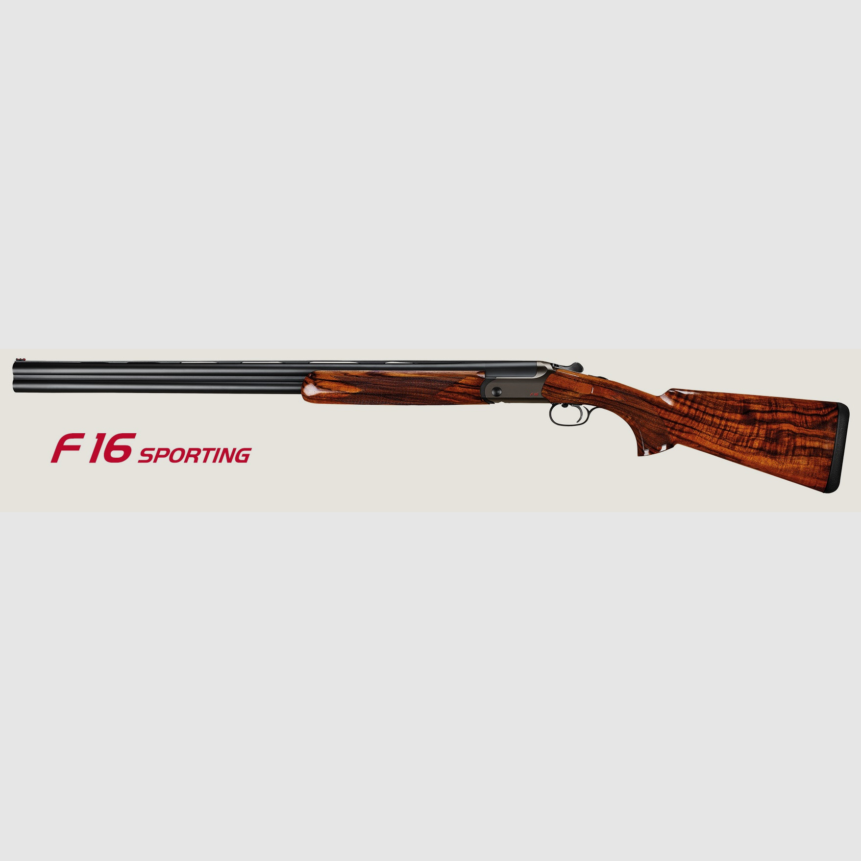 Blaser F16