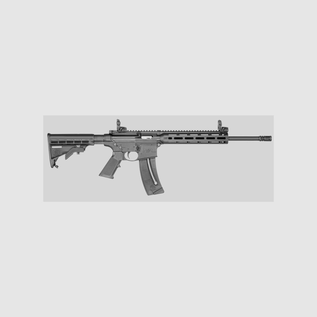 CARABINE S&W M&P15-22 SPORT 10208, image 1 sur 3