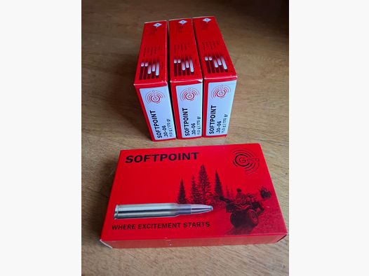 Geco Softpoint .30-06 TM 11,0 g 170 gr, 4x20 Kugeln