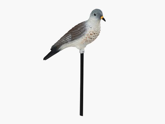 Stepland Thrush Shape