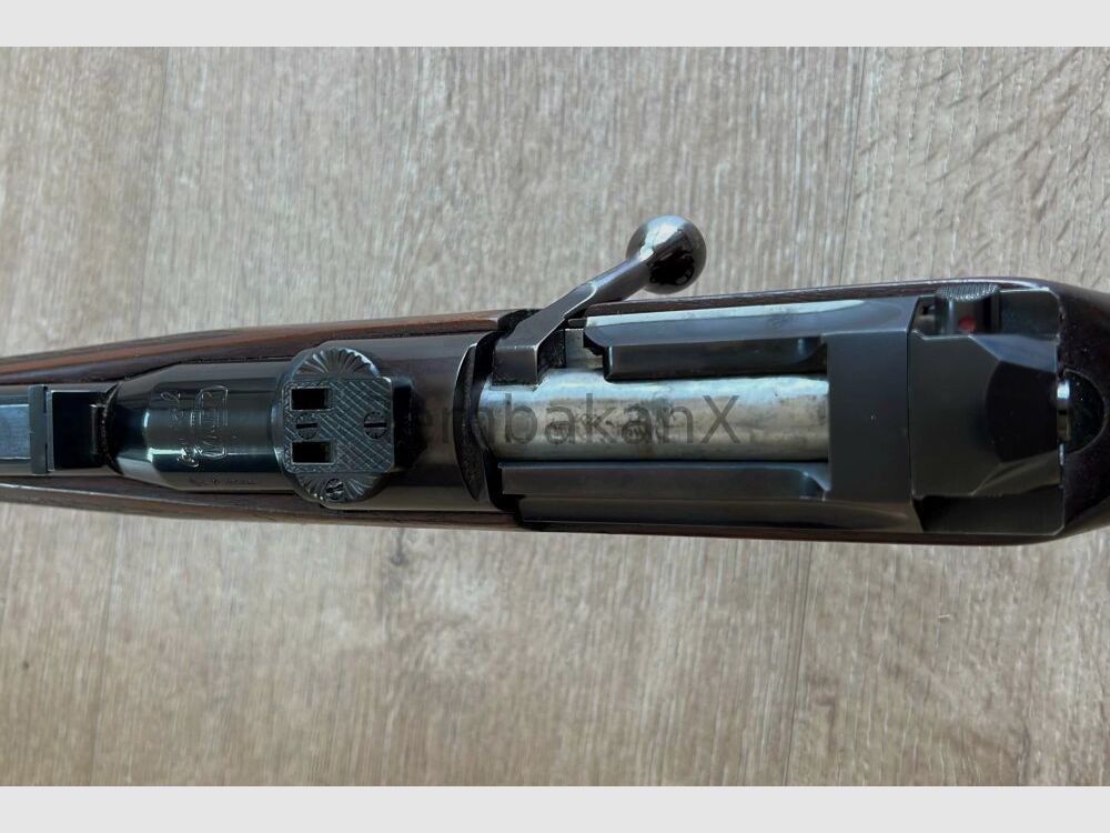 Mauser Mod. 66 .30-06Spring