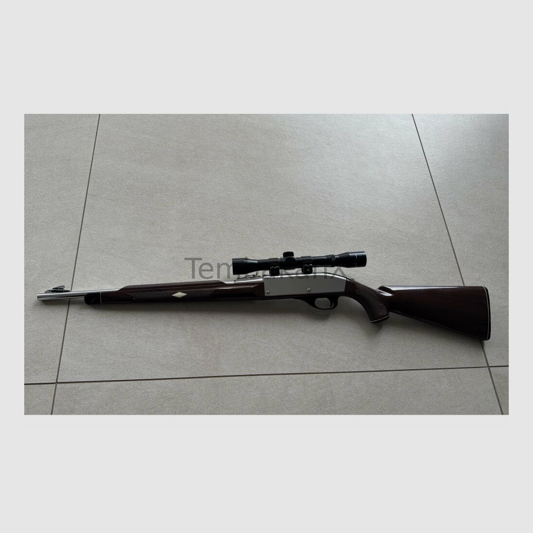 Remington Nylon 66 .22lr