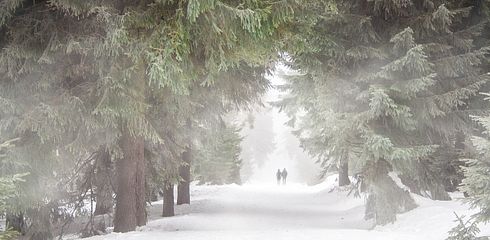 Die besten Jagdstiefel für den Winter und die Drückjagdsaison