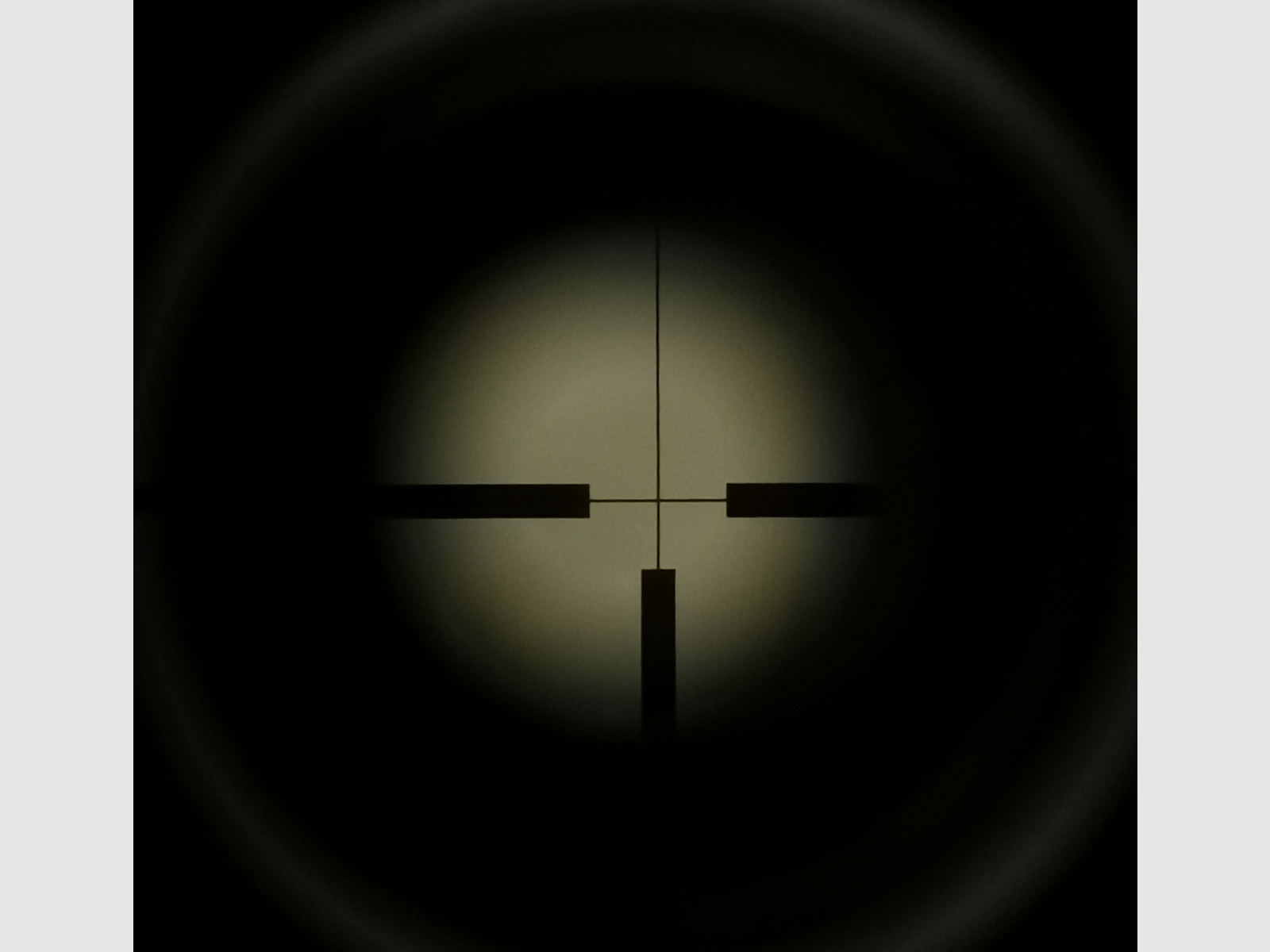 K98 Mauser Kaliber: .308Win mit ZF Svarovski Habicht 6x42 