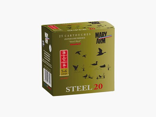 CARTOUCHES MARY ARM STEEL 20