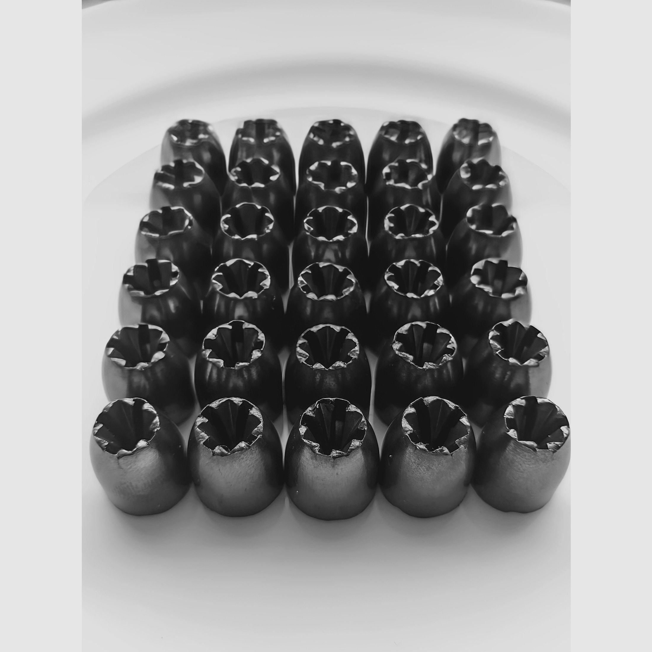 30 Stück AEA Challenger Megalodon Slugs .50/.495 