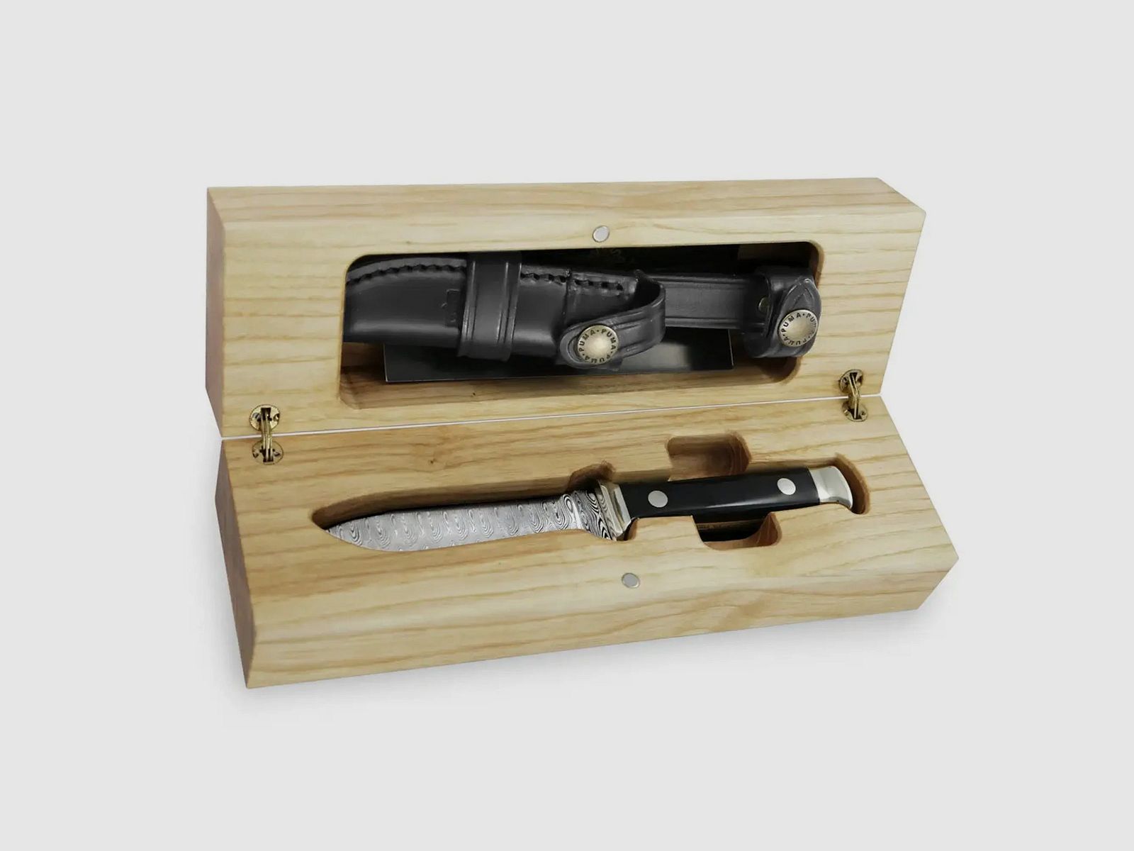 Couteau Annuel PUMA 2025 Corne de Buffle