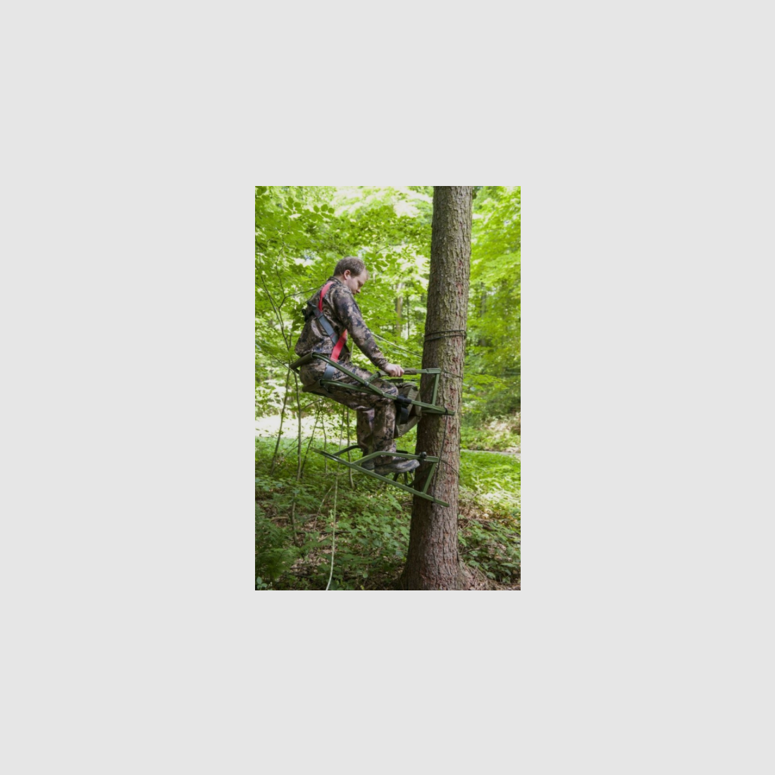 Siège d'Escalade d'Arbre PRO, image 9 sur 13