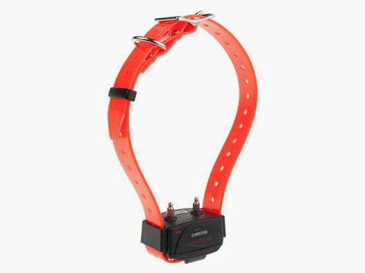 Collier d'éducation Canicom seul