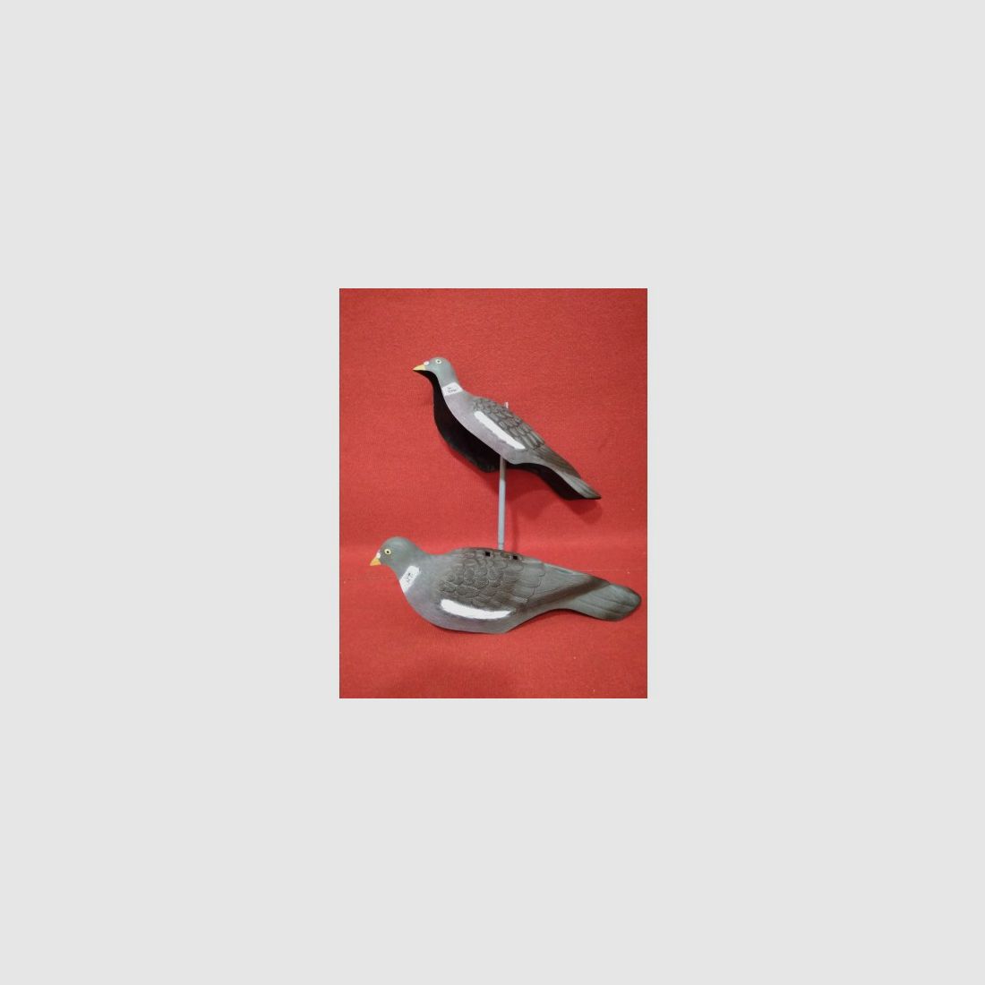 Piège à pigeons, image 1 sur 2